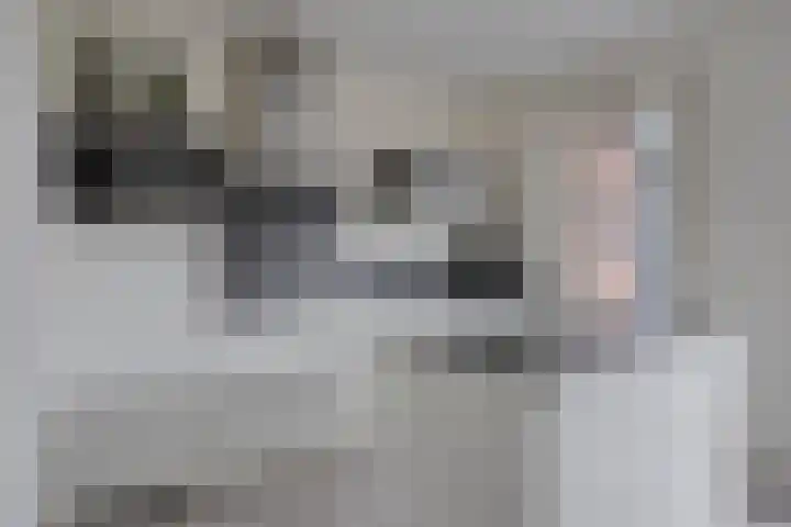 Bosven 20 Deurne thumbnail 15