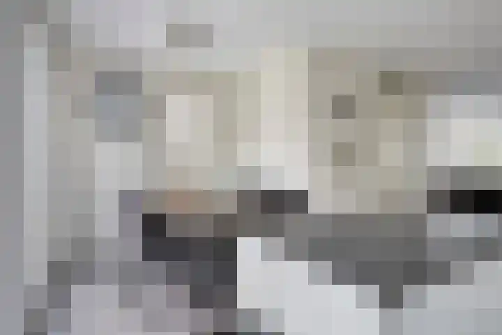 Bosven 20 Deurne thumbnail 16
