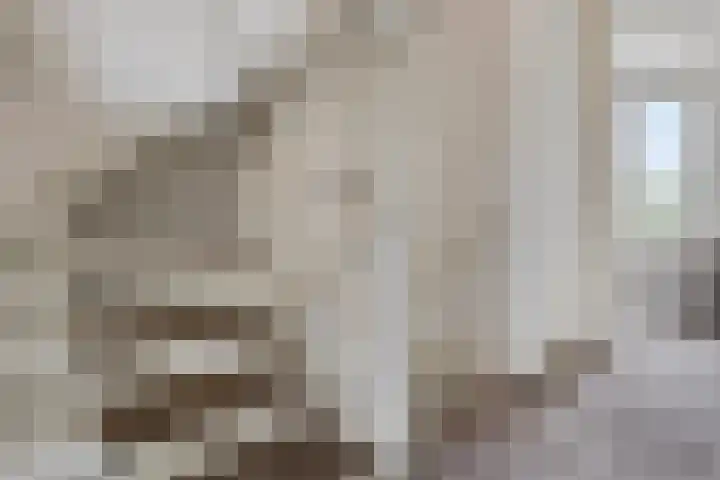 Bosven 20 Deurne thumbnail 18