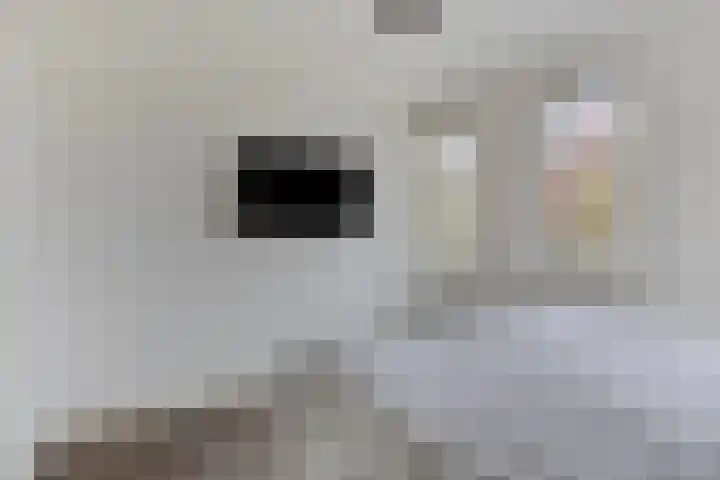 Bosven 20 Deurne thumbnail 20
