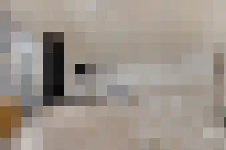 Bosven 20 Deurne thumbnail 29