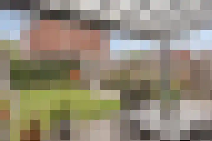 Bosven 20 Deurne thumbnail 30