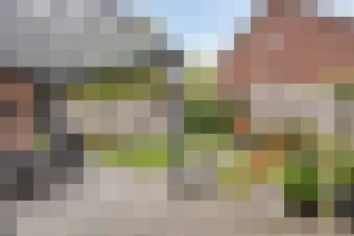 Bosven 20 Deurne thumbnail 31