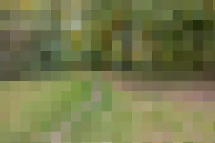 Bosven 20 Deurne thumbnail 34