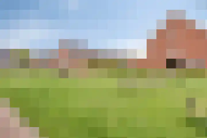 Bosven 20 Deurne thumbnail 35