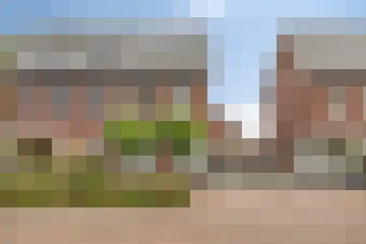 Bosven 20 Deurne thumbnail 36