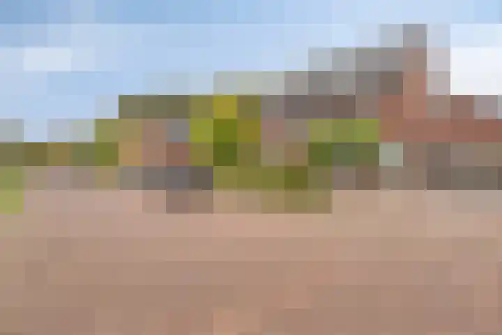 Bosven 20 Deurne thumbnail 37