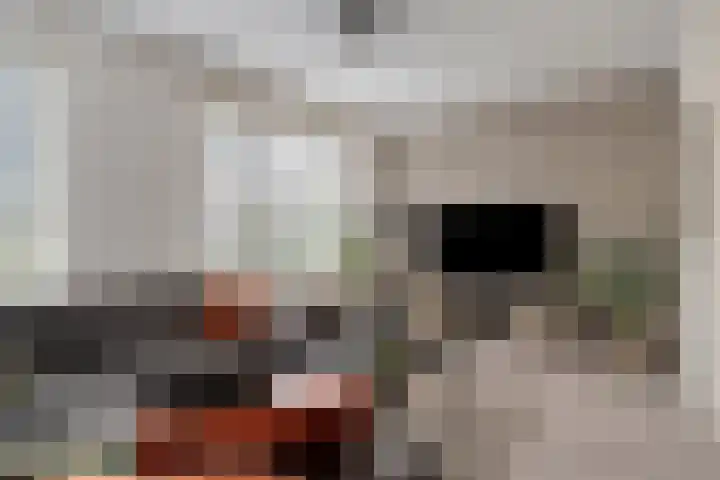 Bosven 20 Deurne thumbnail 8