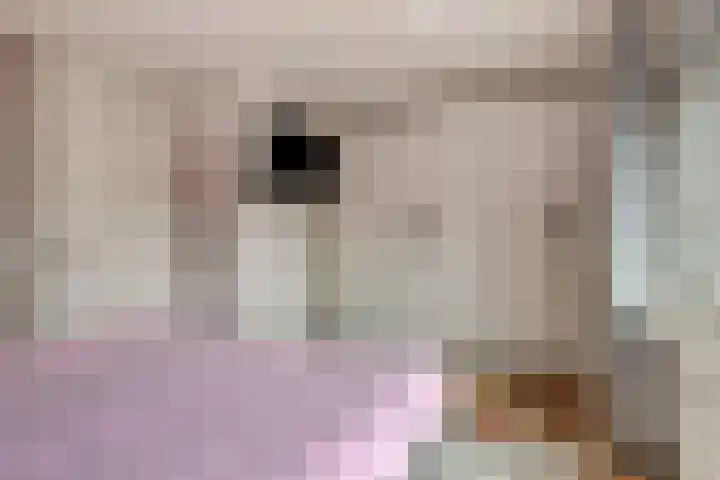Bosven 201 Veghel thumbnail 11