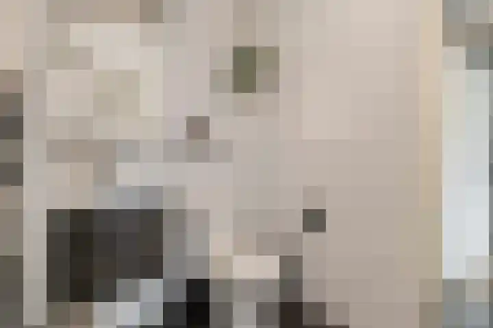 Bosven 201 Veghel thumbnail 14