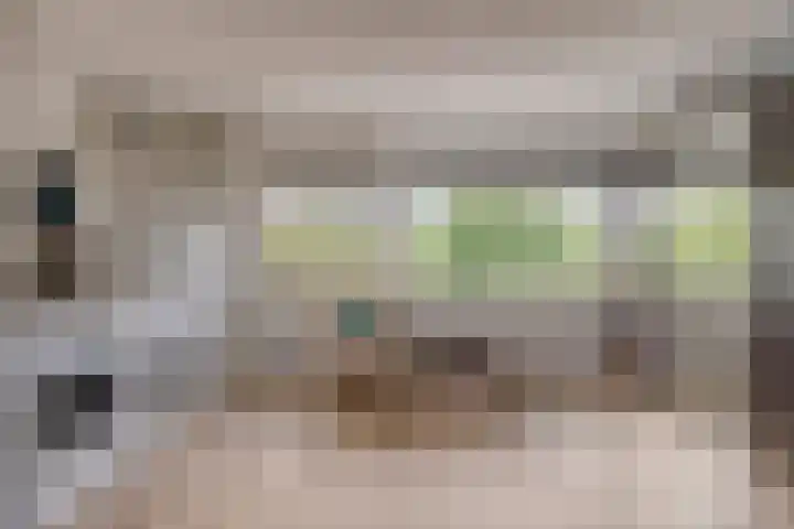 Bosven 201 Veghel thumbnail 19