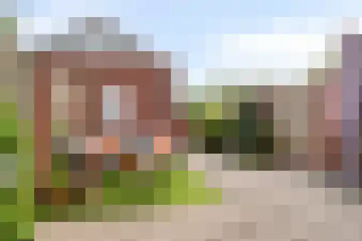 Bosven 201 Veghel thumbnail 22