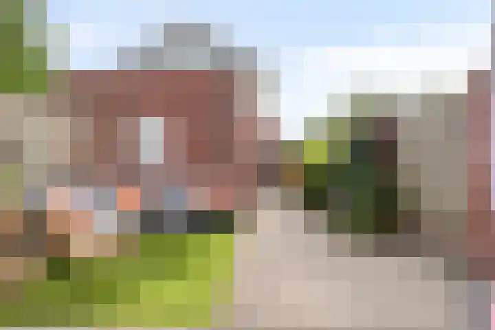 Bosven 201 Veghel thumbnail 24