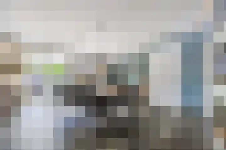 Bosven 219 Veghel thumbnail 10