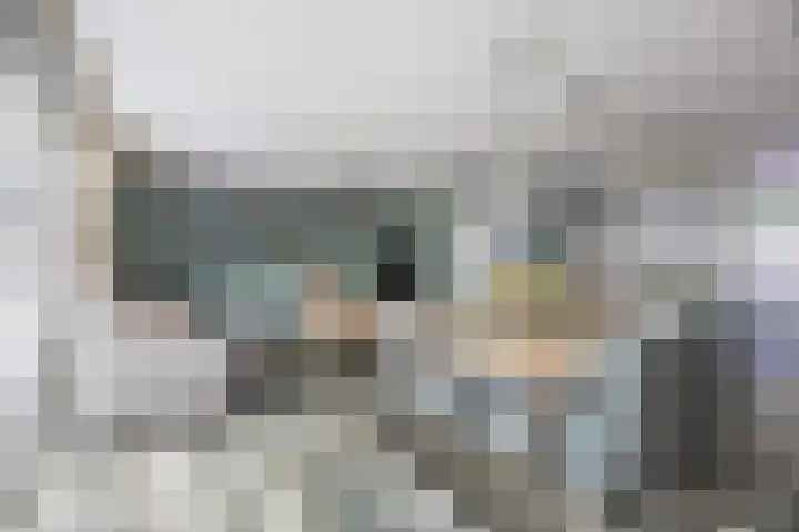 Bosven 219 Veghel thumbnail 11