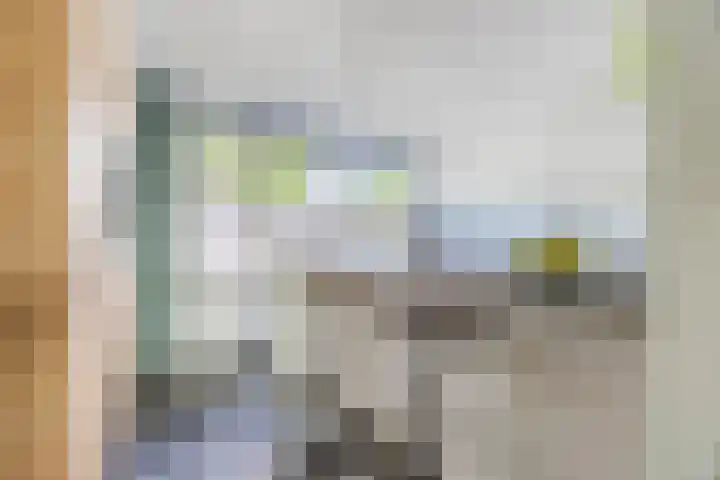 Bosven 219 Veghel thumbnail 12