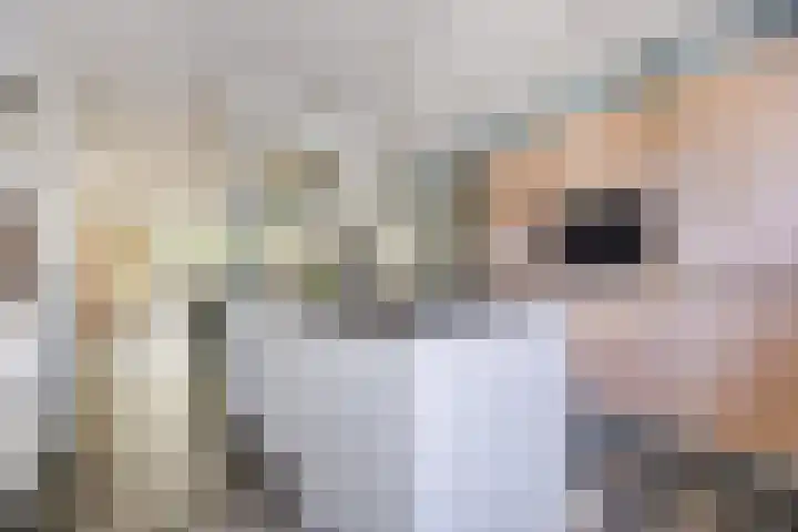 Bosven 219 Veghel thumbnail 14