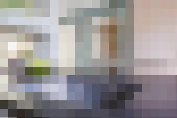 Bosven 219 Veghel thumbnail 15