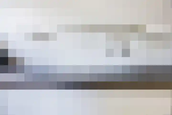 Bosven 219 Veghel thumbnail 16