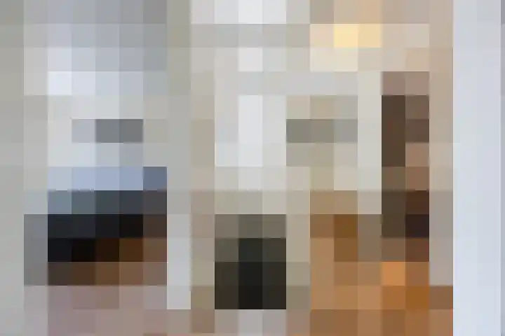 Bosven 219 Veghel thumbnail 17
