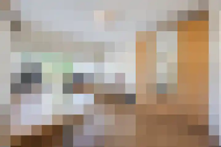 Bosven 219 Veghel thumbnail 19