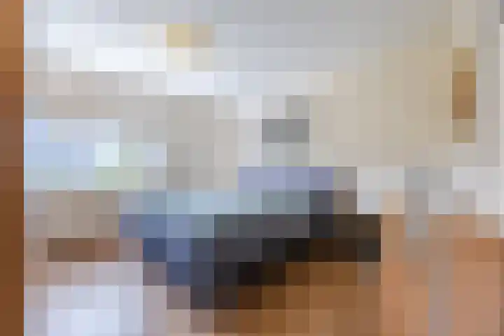 Bosven 219 Veghel thumbnail 23