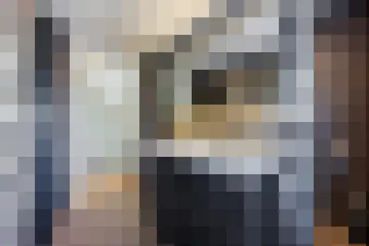 Bosven 219 Veghel thumbnail 26