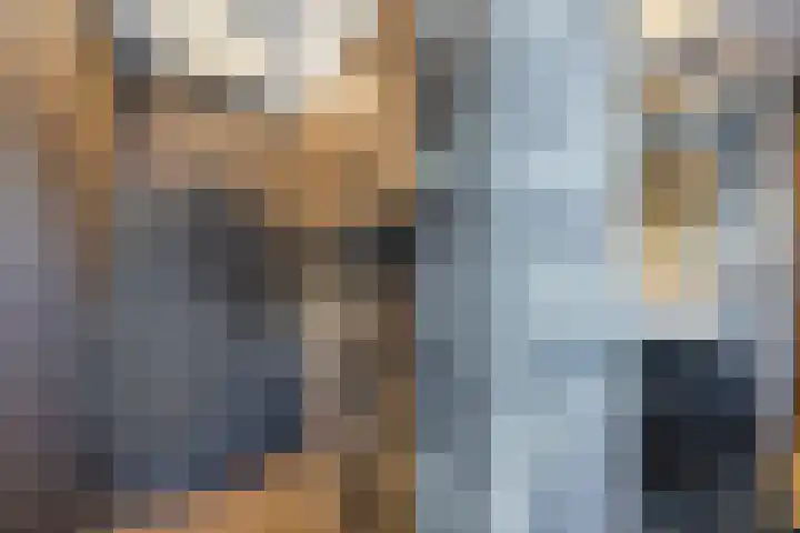 Bosven 219 Veghel thumbnail 27