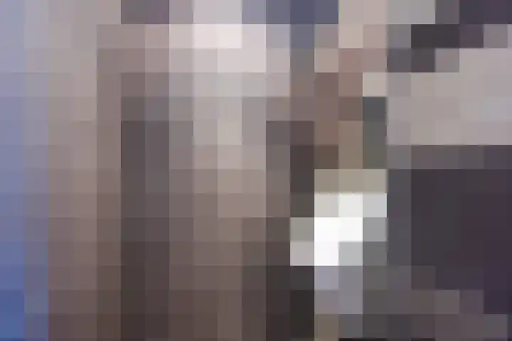 Bosven 219 Veghel thumbnail 29