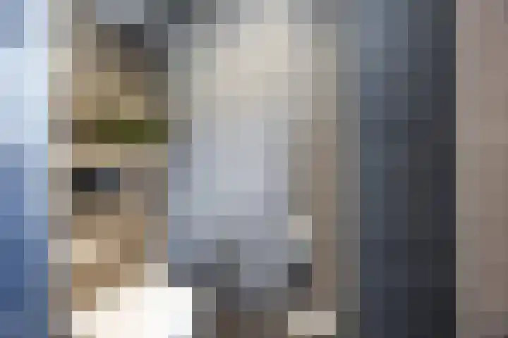 Bosven 219 Veghel thumbnail 30