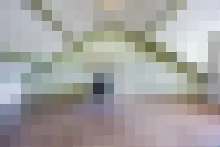 Bosven 219 Veghel thumbnail 33