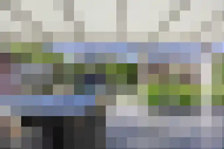 Bosven 219 Veghel thumbnail 35