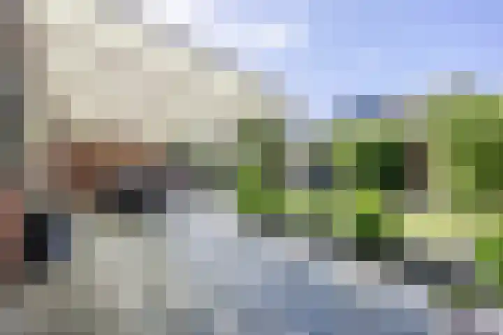 Bosven 219 Veghel thumbnail 37