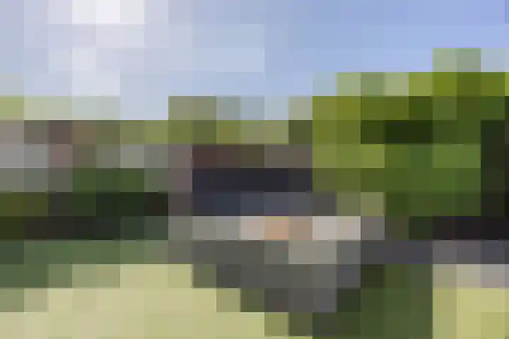 Bosven 219 Veghel thumbnail 38