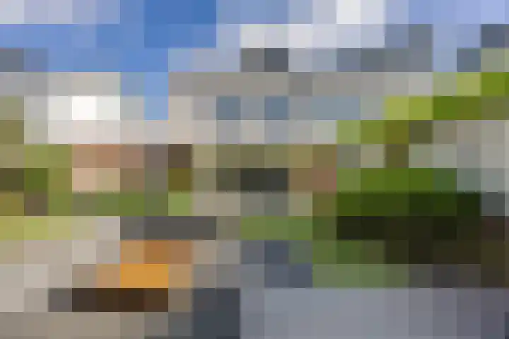 Bosven 219 Veghel thumbnail 39