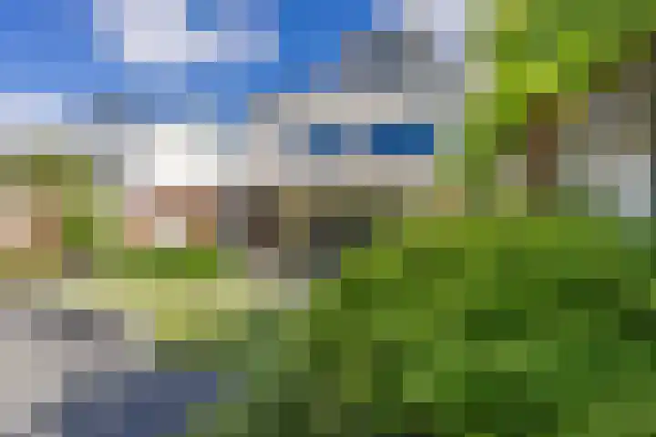 Bosven 219 Veghel thumbnail 40