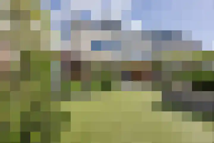 Bosven 219 Veghel thumbnail 41