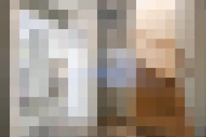 Bosven 219 Veghel thumbnail 5