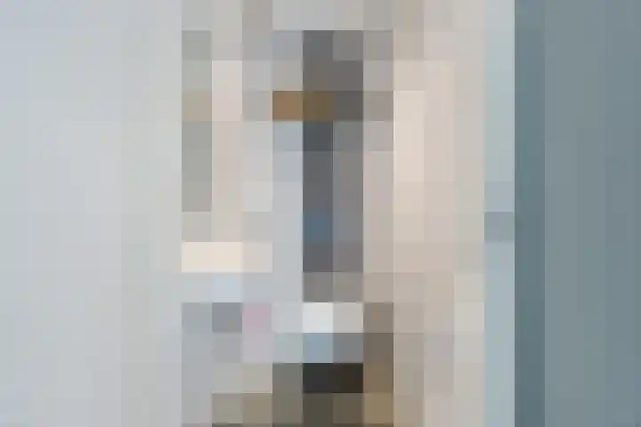 Bosven 219 Veghel thumbnail 6