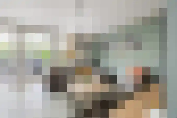 Bosven 219 Veghel thumbnail 7
