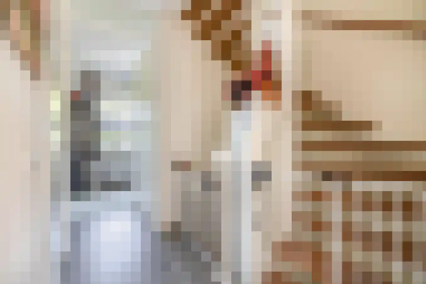 Bosven 28 Deurne thumbnail 19