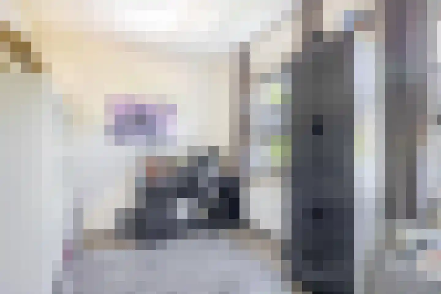 Bosven 28 Deurne thumbnail 23