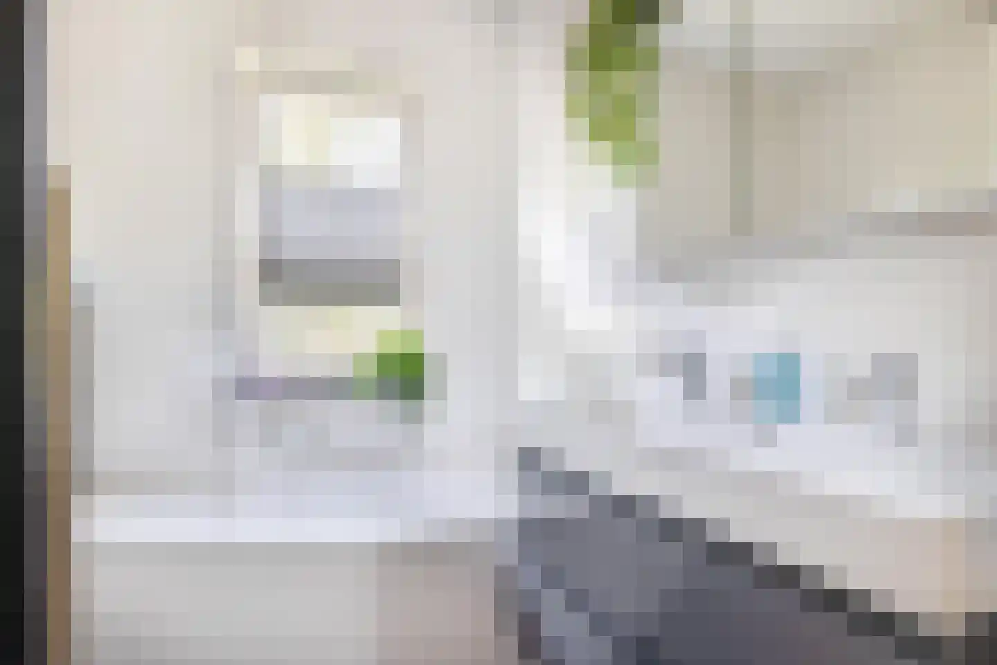 Bosven 28 Deurne thumbnail 24