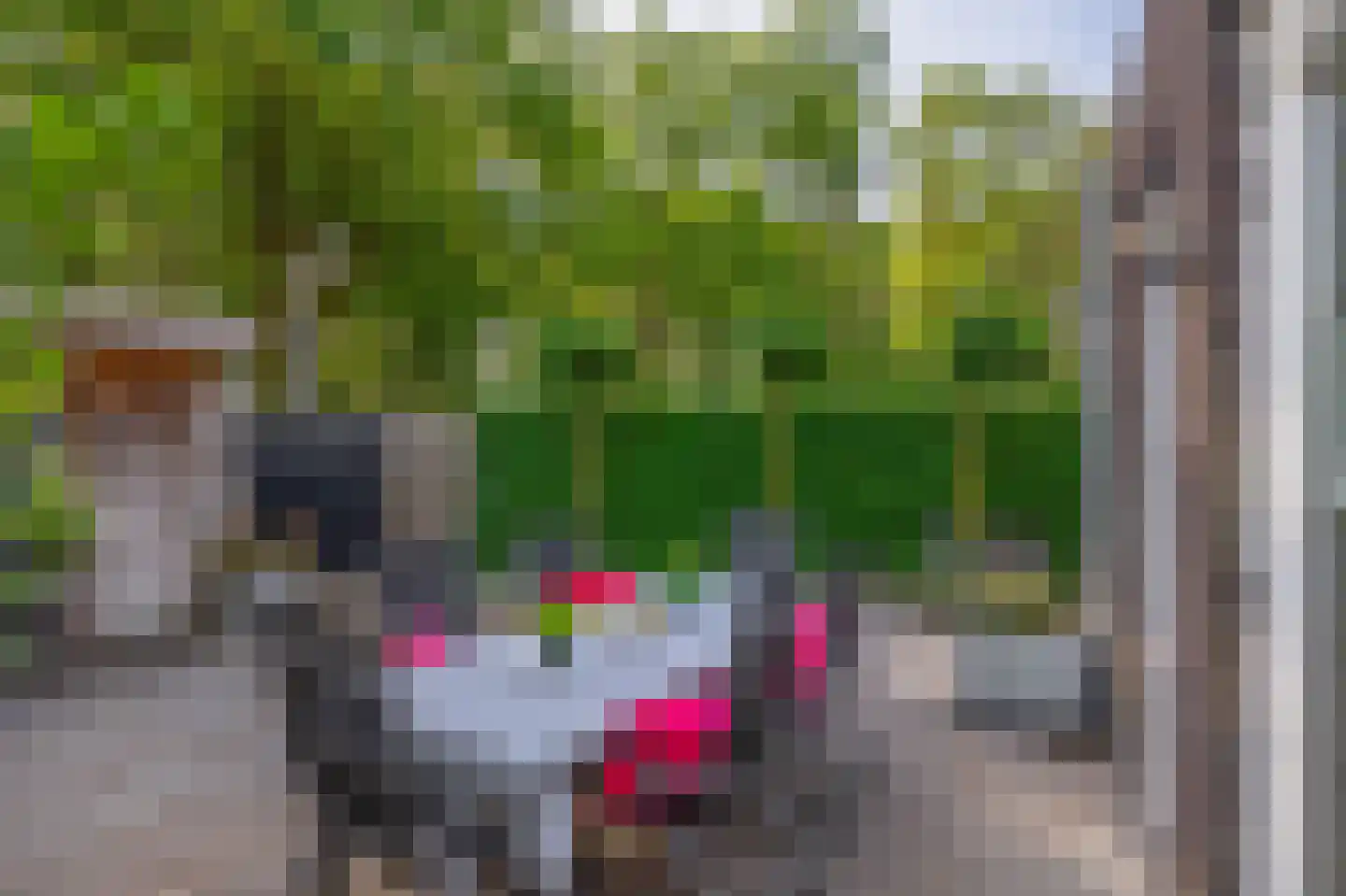 Bosven 28 Deurne thumbnail 31