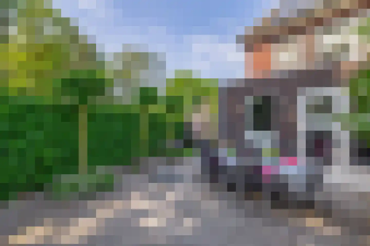 Bosven 28 Deurne thumbnail 32