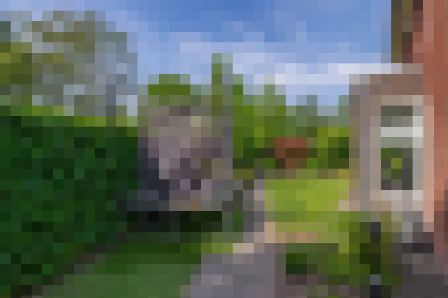 Bosven 28 Deurne thumbnail 34