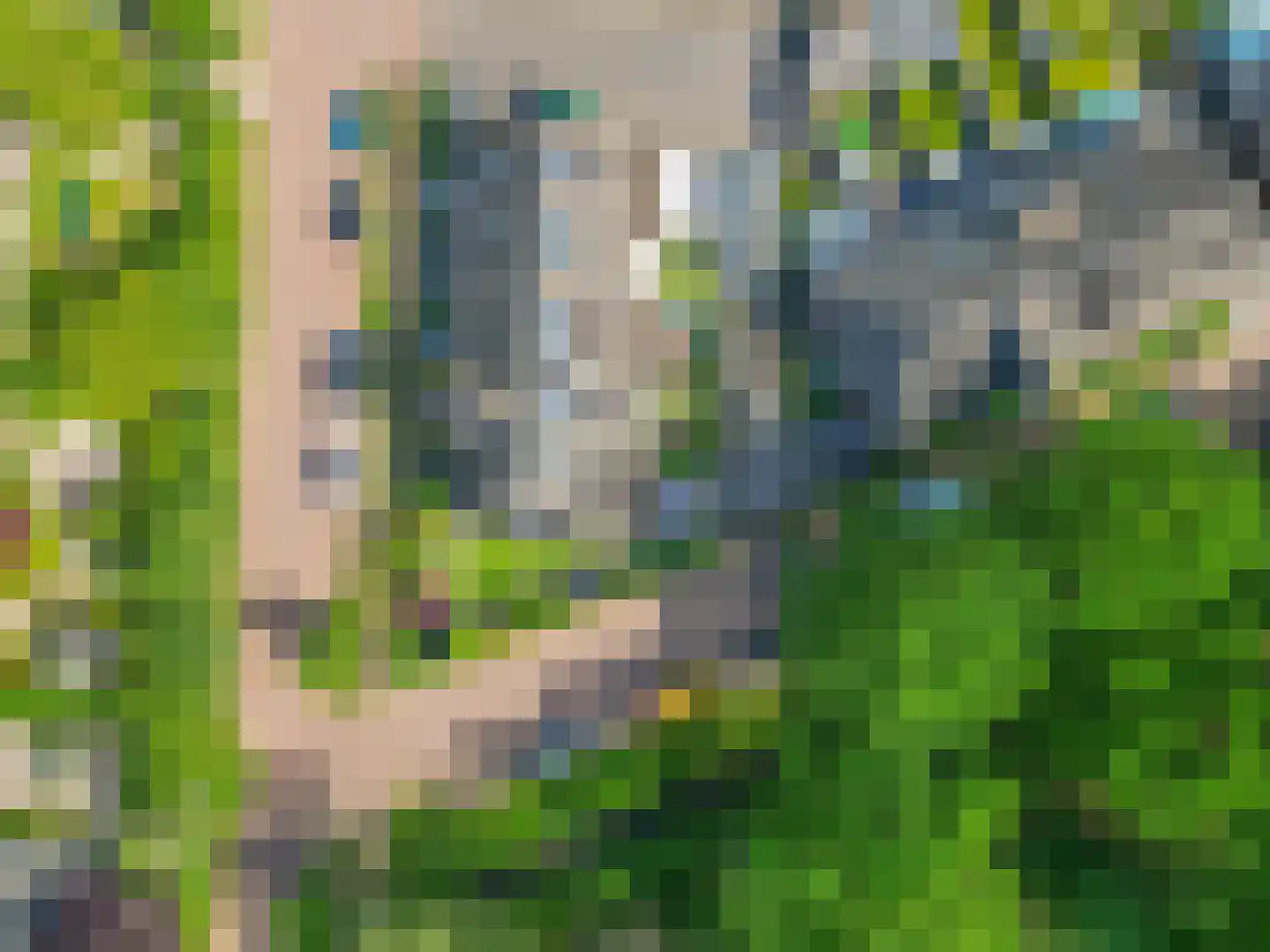 Bosven 28 Deurne thumbnail 38
