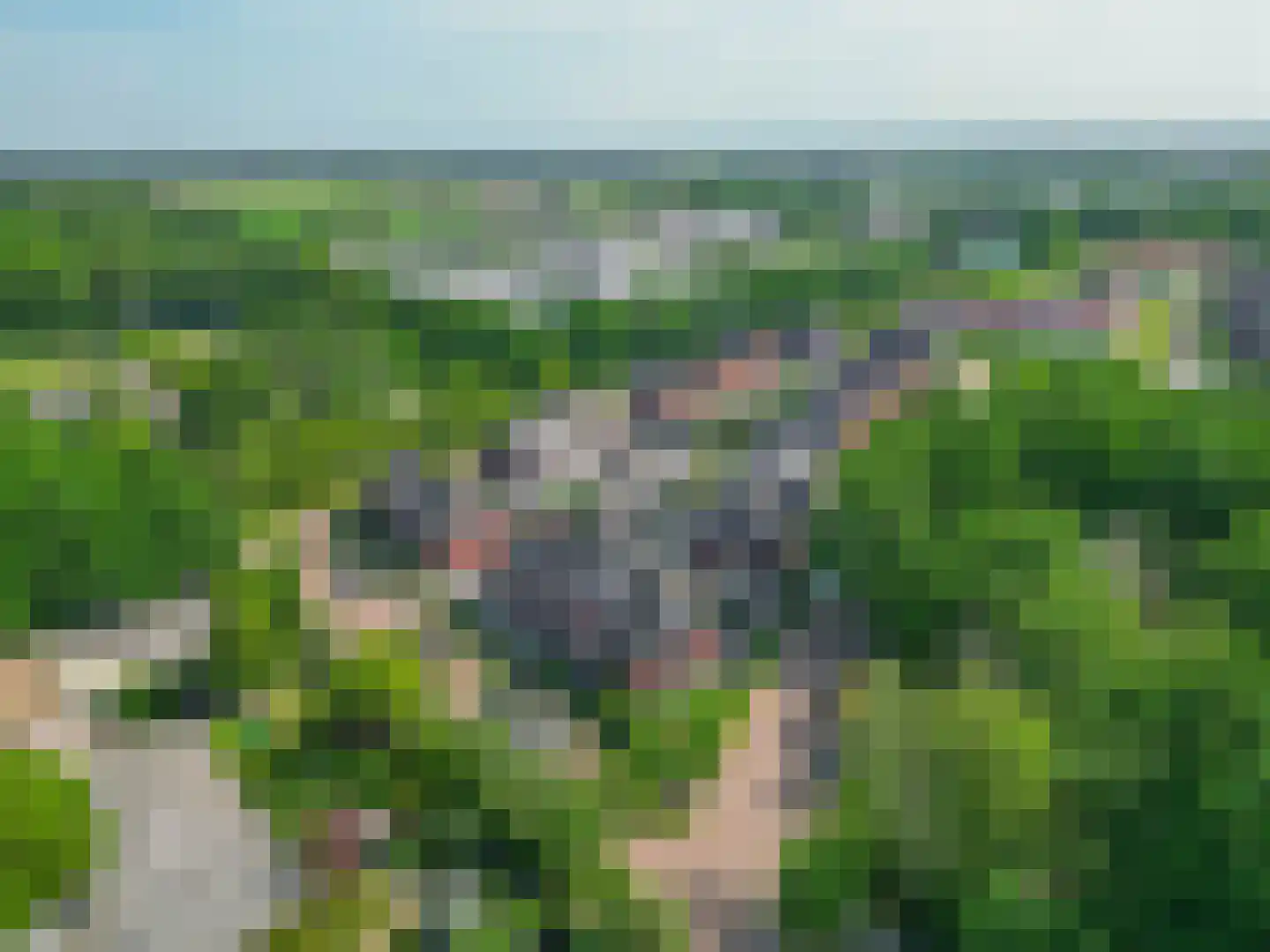 Bosven 28 Deurne thumbnail 39