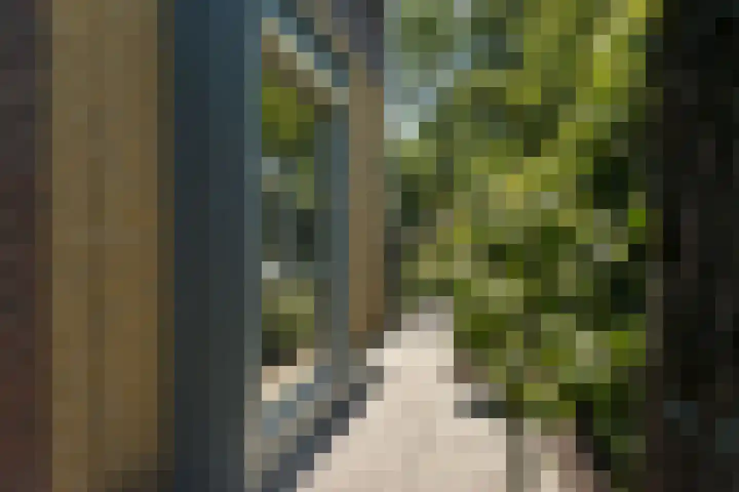 Bosven 3 Enschede thumbnail 31