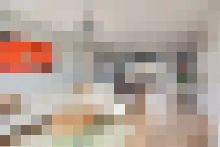 Bosven 307 Veghel thumbnail 11
